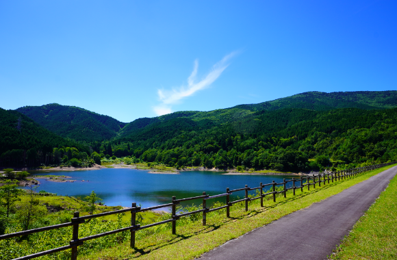 苔むす森を満喫する旅（E-BIKE＆森林浴）