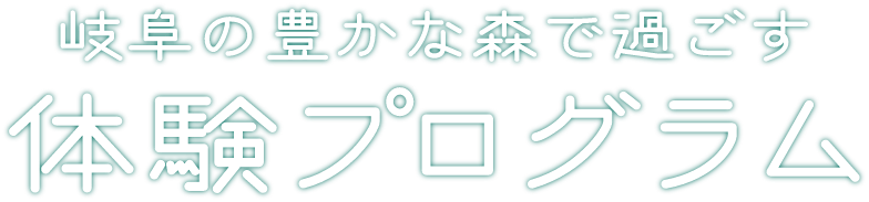 岐阜の豊かな森で過ごす体験プログラム