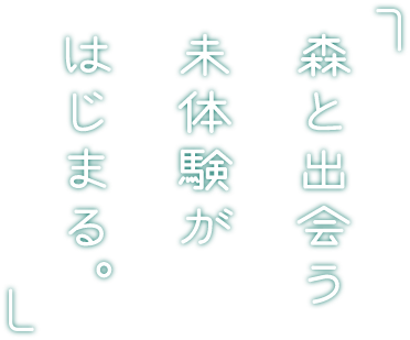 森と出会う未体験がはじまる。