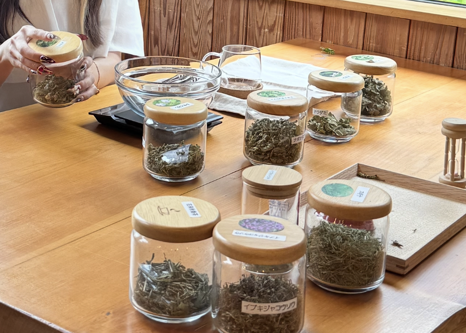 薬草②
